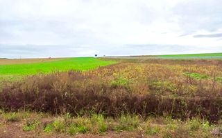 Teren Investiție | 25 €/mp | Acces Drum Metropolitan OSORHEI - Poză 6