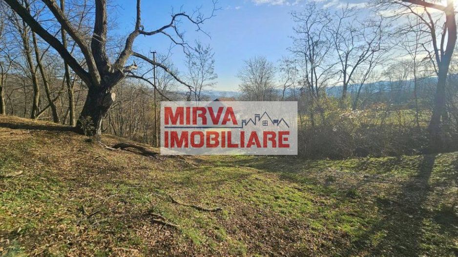 Vanzare casa plus anexa, teren 3843 mp, in Sat Pietriceaua - Poză 1