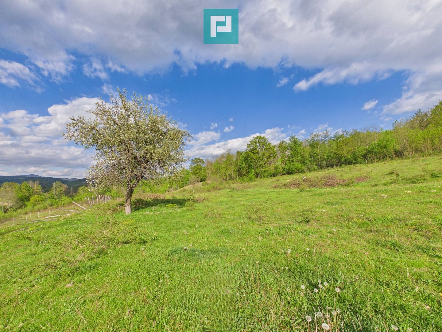 Casă cu teren de 17.681 mp, în loc. Hălmăgel, Arad - Poză 23