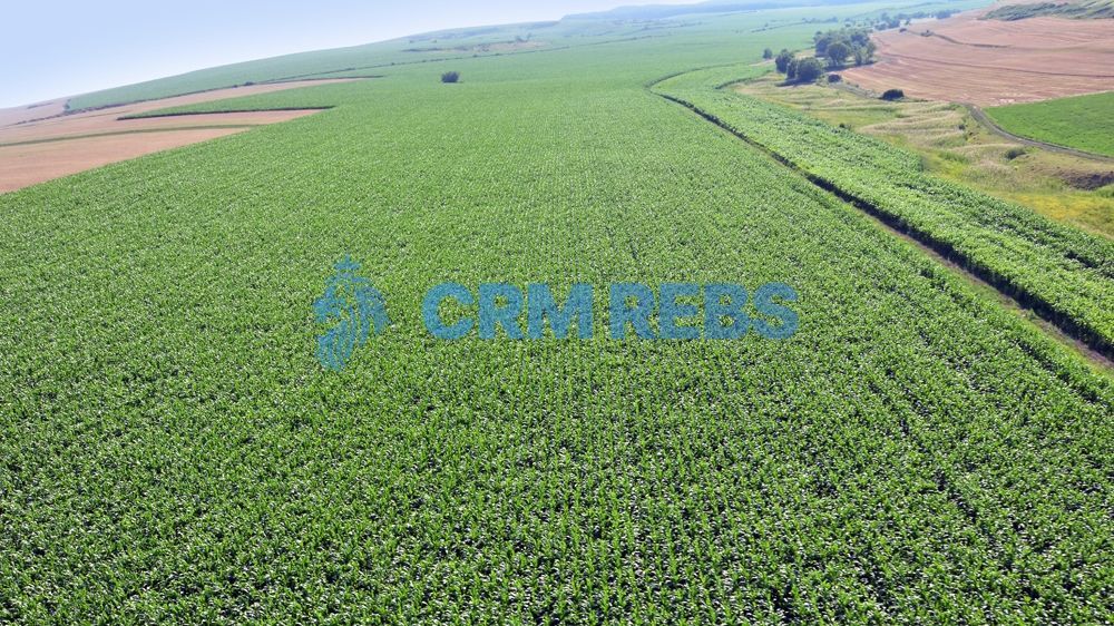 Anunt de test - Teren 5500 mp Cluj-Napoca in Zona Soporului - Poză 2