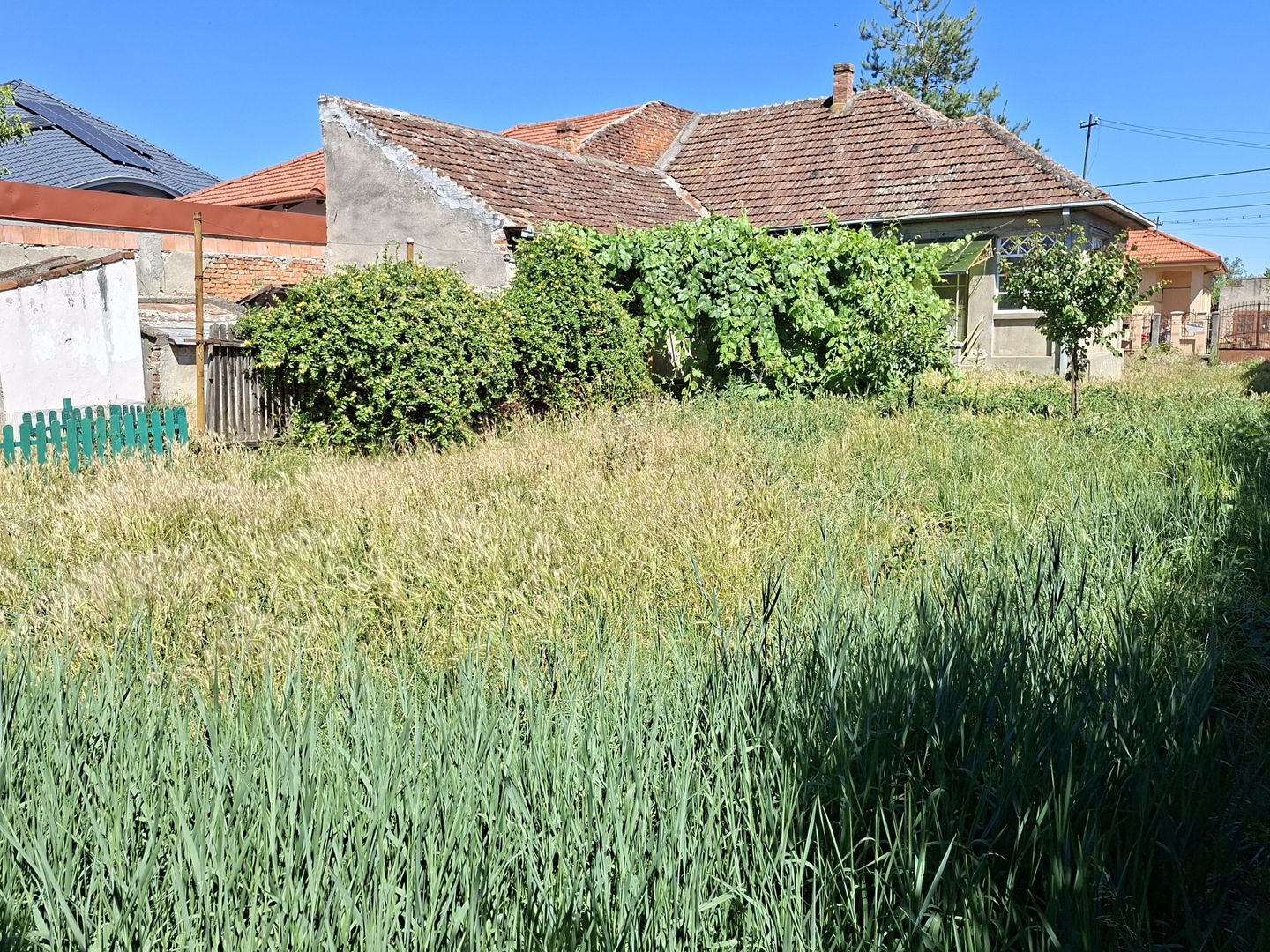 BRASADAS vinde casa 3 cam cu teren 5 ari in 14 Mai. - Poză 4