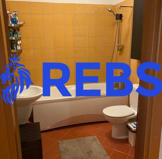 Apartament 3 camere Stefan cel Mare | Central Park - Poză 11
