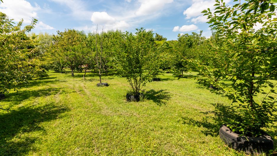 Casă de vânzare | PIPERA/ Teren 3300mp - Poză 4