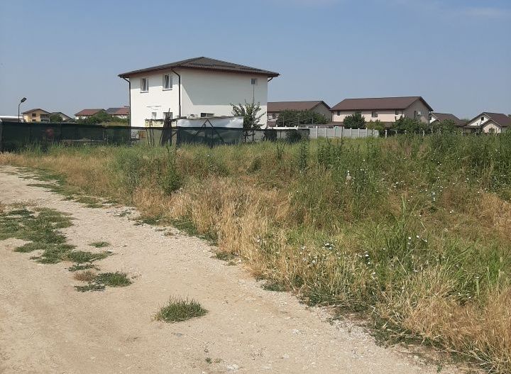 Teren 585 mp, intravilan, in Domnesti catre Teghes, din str. Curtea Domneasca - Poză 5