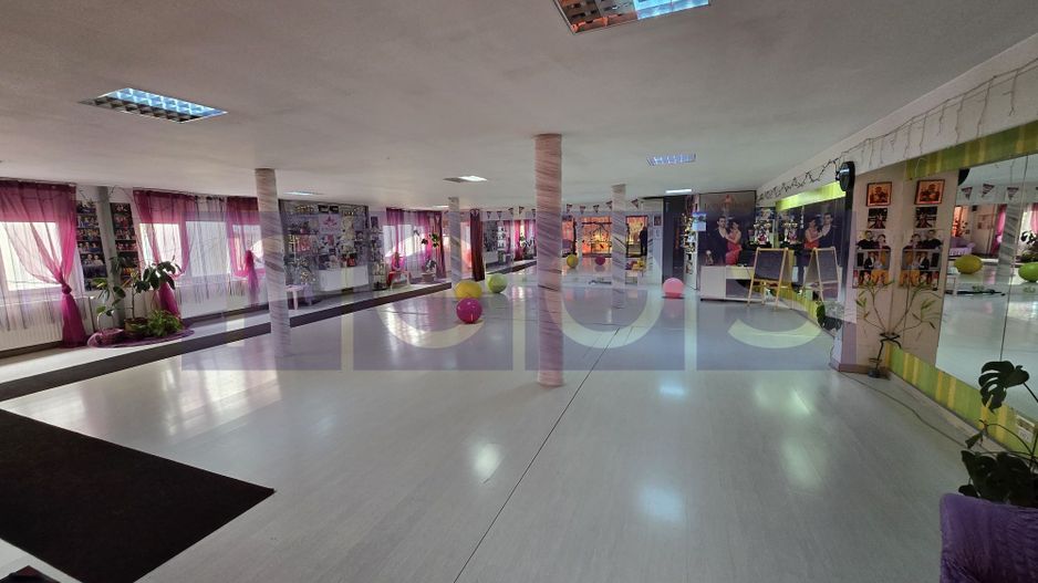 INCHIRIERE SPATIU BIROURI | ZONA PIATA ALBA IULIA - Poză 3