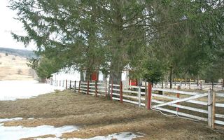 VALEA DOFTANEI - Traisteni, langa Conacul Dascalu, vanzare 2.537 mp. teren - Poză 14