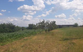 Teren cu spații industriale sau depozitare - Poză 8