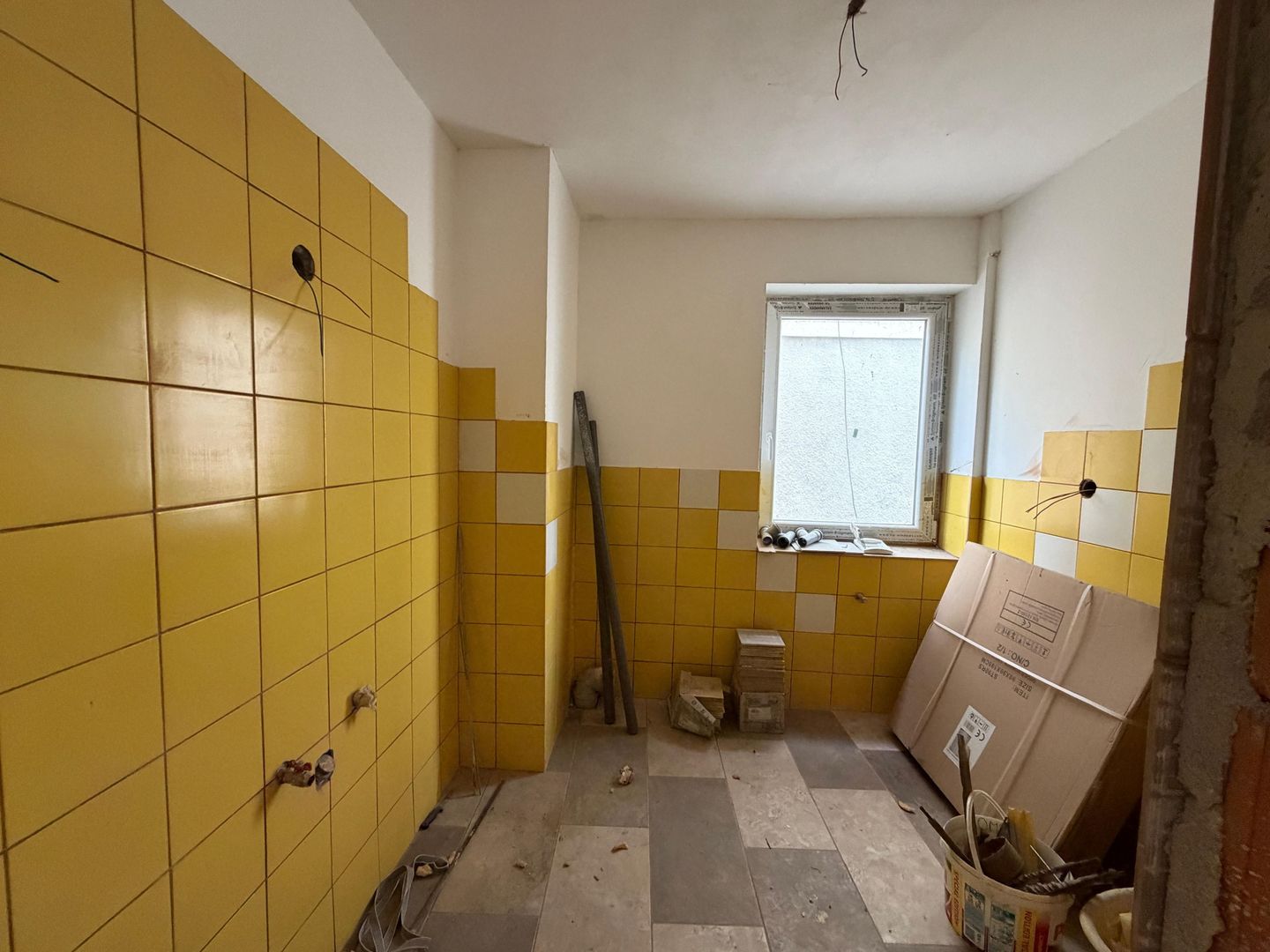 Proprietate cu potential de dezvoltare in Lugoj – Strada Avram Iancu - Poză 5