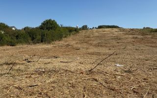 Teren de vanzare, 10.000 mp Oncea aproape de Blue Sky - Poză 1