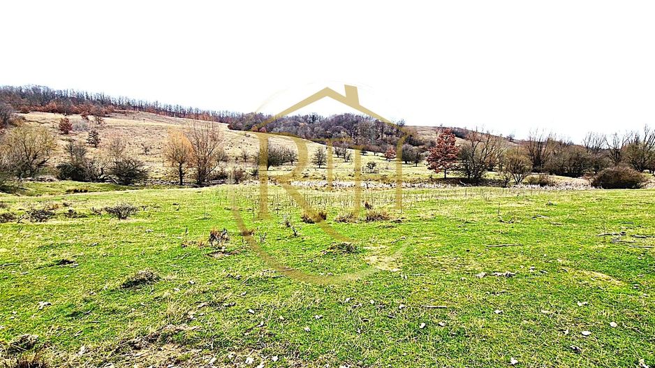 Terenuri extravilane de vânzare – Vizma & Crivobara, comuna Secaș, jud. Timiș - Poză 17