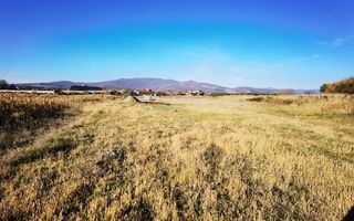 Teren intravilan de vanzare, Alba-Micesti - Poză 4