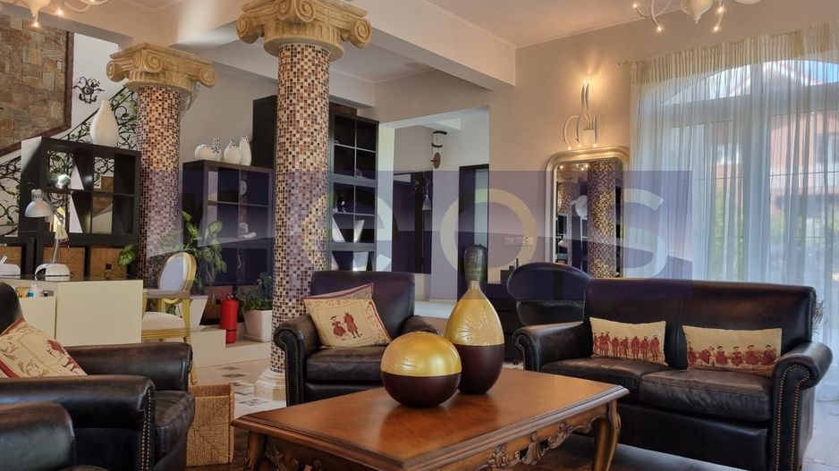 INCHIRIERE SPATIU COMERCIAL-2 VILE | ZONA MOGOSOAIA - Poză 3