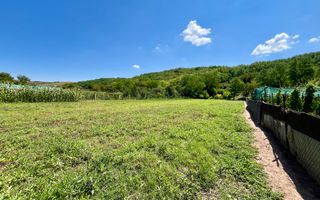 Teren Împrejmuit, 3514mp, Asfalt, Ciugud - Poză 1