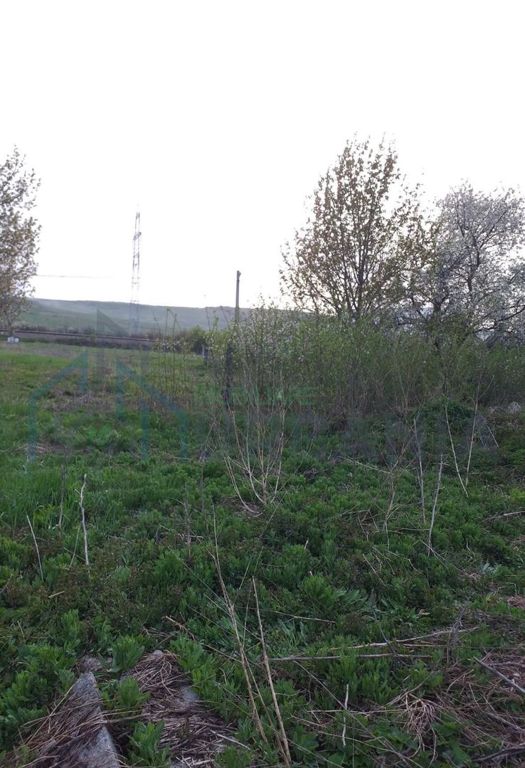 Teren intravilan si extravilan de vanzare in comuna Grajduri, satul Lunca - Poză 2