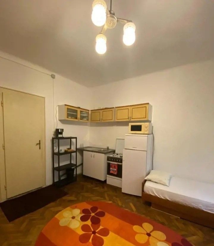 Apart 1 cam Balcescu parter centrala proprie - Poză 2