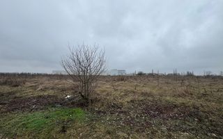 Teren 5.752 mp lângă Aeroport – ideal hală, logistică, depozit - Poză 6
