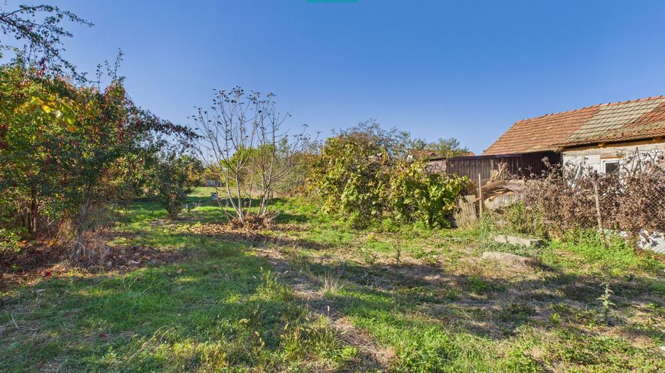 Teren intravilan de 1363 mp în Mândruloc - Poză 6