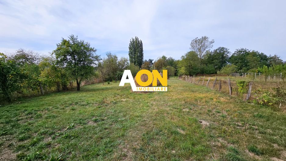 Casa cu 4 camere, 2024 mp teren, la asfalt, cu utilitati, Vintu de Jos - Poză 4