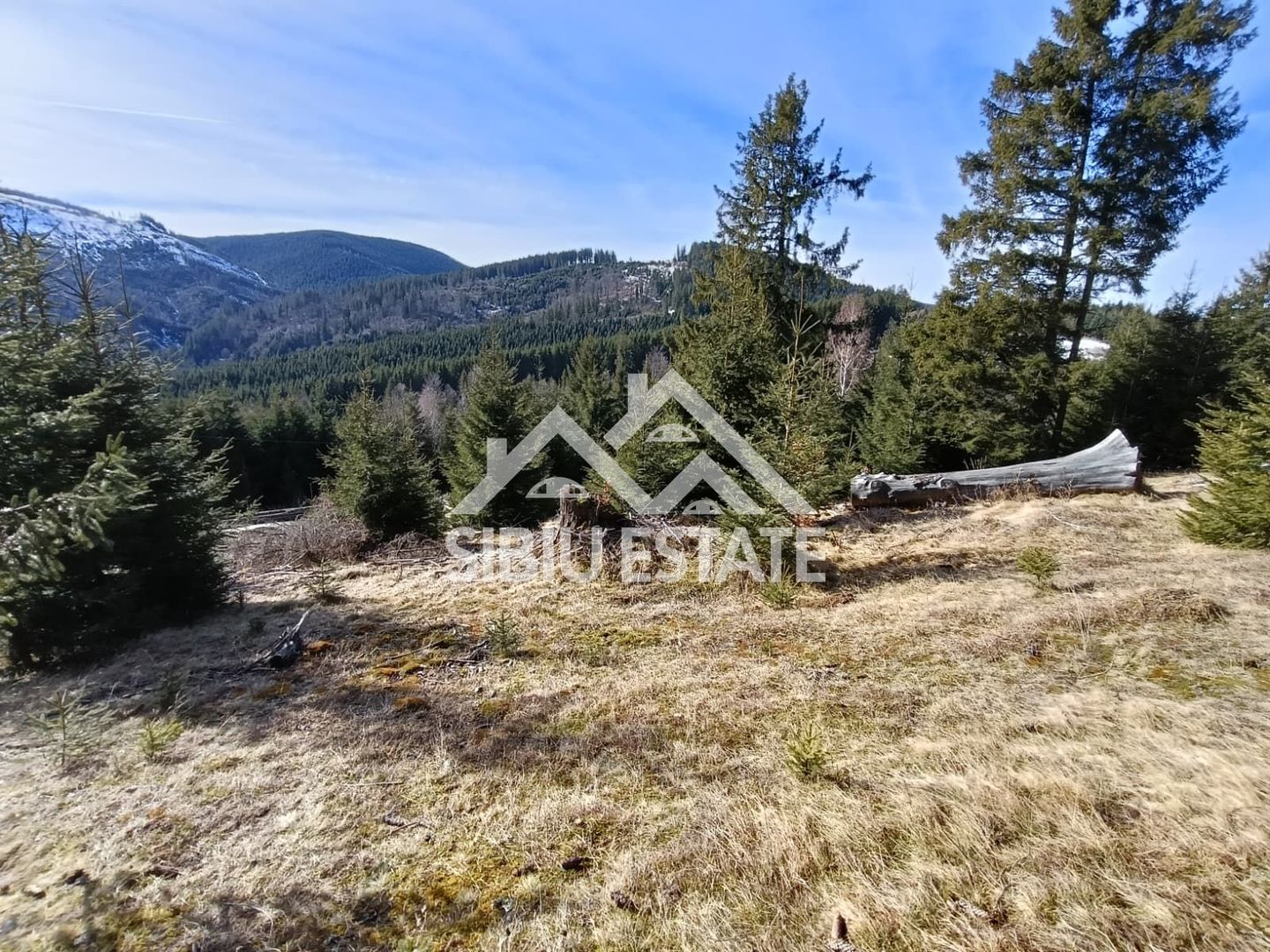 Teren de vânzare în zona montană a județului Alba - Poză 2