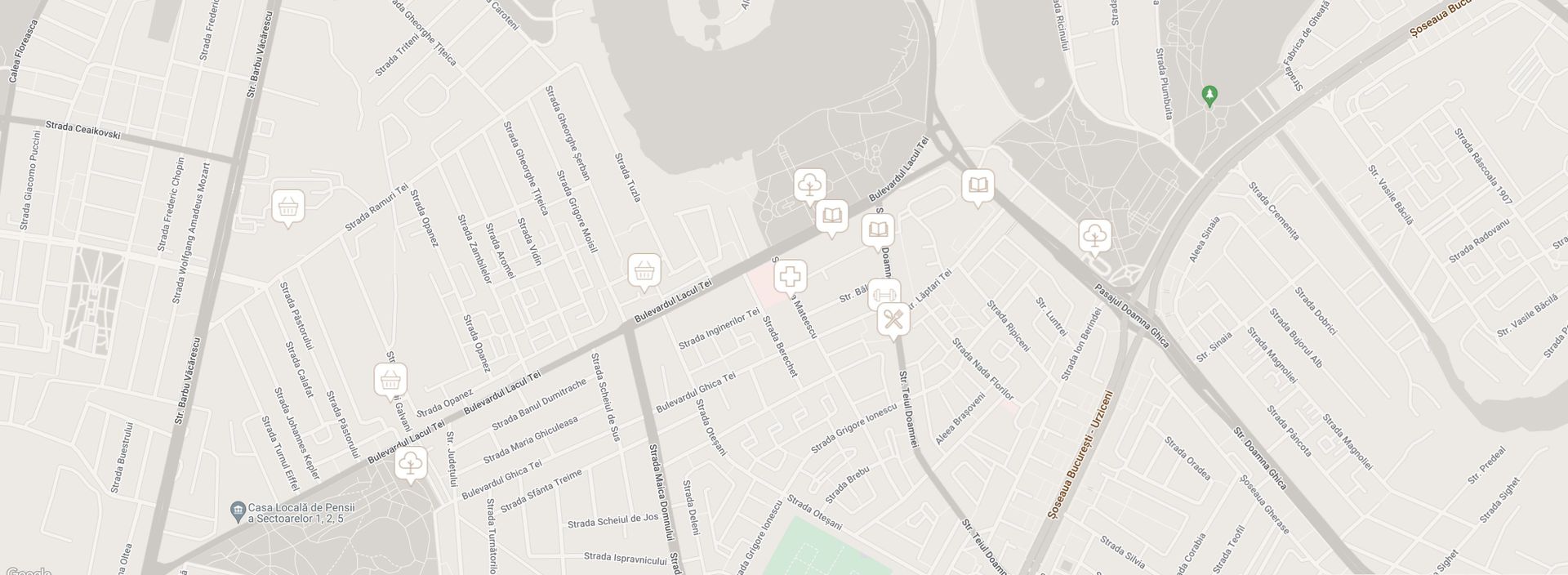 STUDIO DUBLU | CU GRADINA | LANGA PARCUL TEI - Poză 10