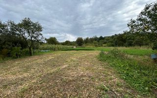 Proprietate de vânzare | 15 km de Onești, DN11 – direcția Bacău - Poză 12