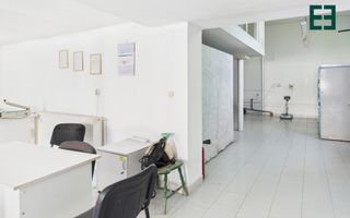 Hală Industrială / Comercială în zonă centrală - Timișoara - Poză 4