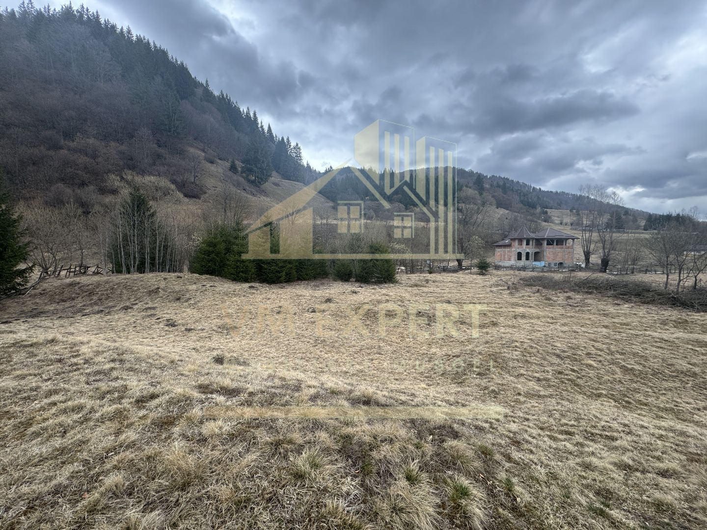 TEREN INTRAVILAN 500 MP SĂTIC- RUCĂR - Poză 12