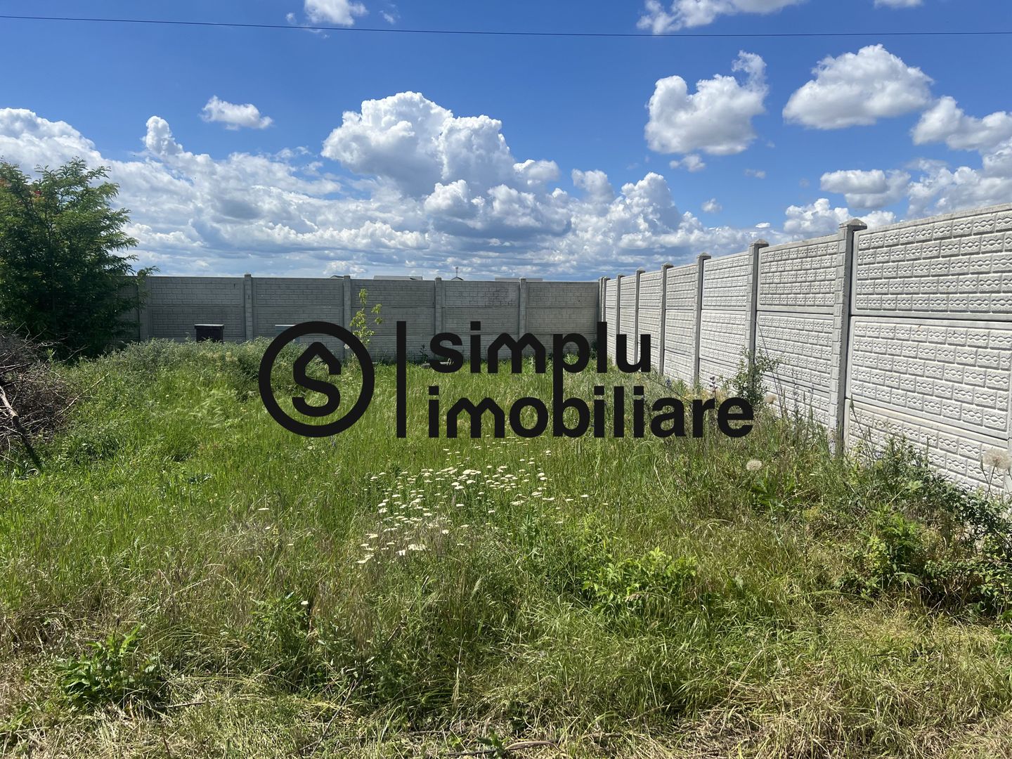 Teren Intravilan Damila - Poză 2