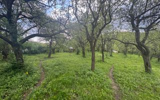 TEREN INTRAVILAN 7018 MP CAMPULUNG - Poză 21