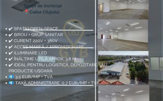 HALĂ DEPOZITARE / PRODUCȚIE DE ÎNCHIRIAT – 245 MP - Poză 1