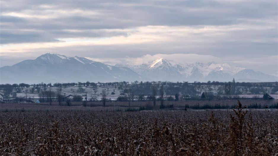 5.000 mp, teren extravilan, conditii apreciabile, Bod, Brasov - Poză 4