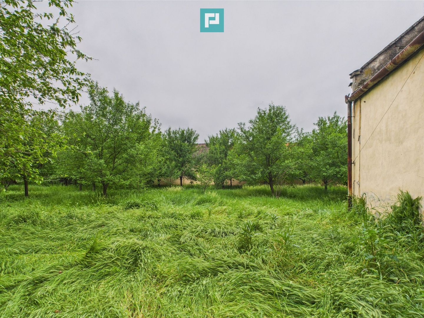 Casă de reabilitat pe teren generos- Comuna Variaș - Poză 7