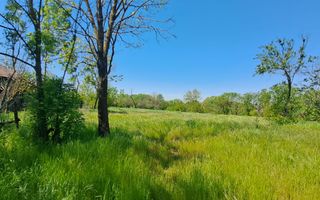 CASA TARANEASCA | TEREN 3000 MP | DESCHIDERE 52 M | COMUNA CIOLANESTI - Poză 2