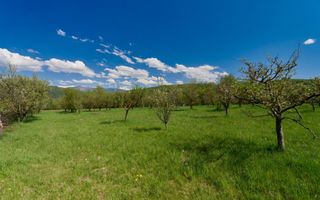 Casa Valea Mare Pravat (Campulung-Arges ) - farmec interbelic - Poză 3