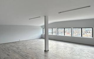 Hală de depozitare, 560 mp, teren 980 mp, Theodor Pallady, București - Poză 1