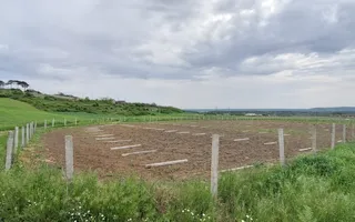 Teren intravilan cu PLANTATIE DE GOJII de vanzare in Racari - Poză 16