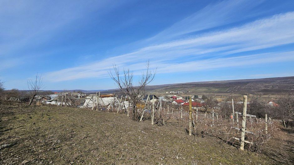 Teren pentru construcții 10 ari Vasieni, Ialoveni - Poză 8