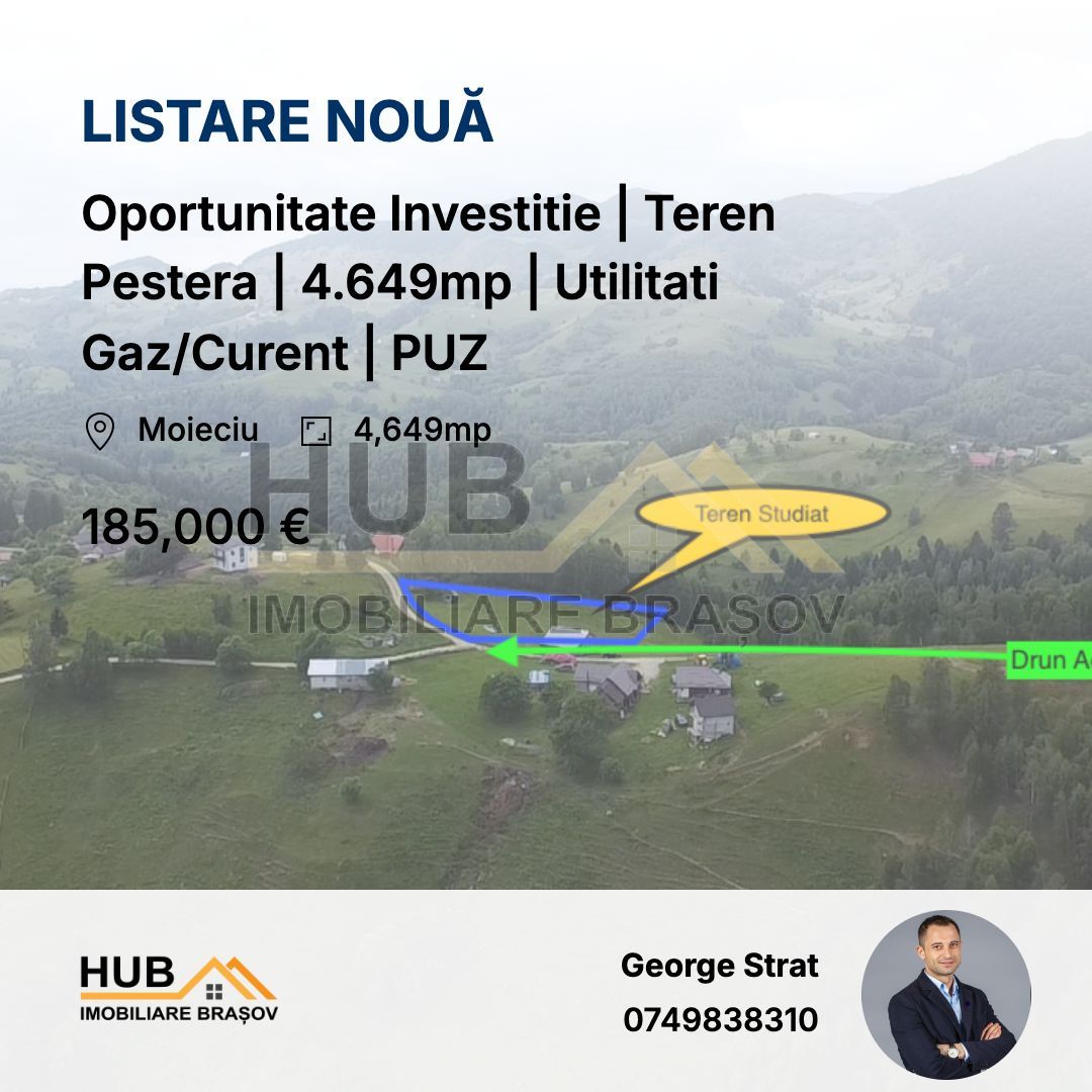 Oportunitate Investitie | Teren Pestera | 4.649mp | Utilitati Gaz/Curent | PUZ - Poză 1