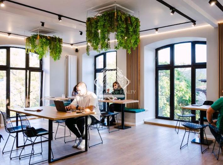 Calea Victoriei I Vila Monument Istoric I Consolidata si Renovata - Poză 2