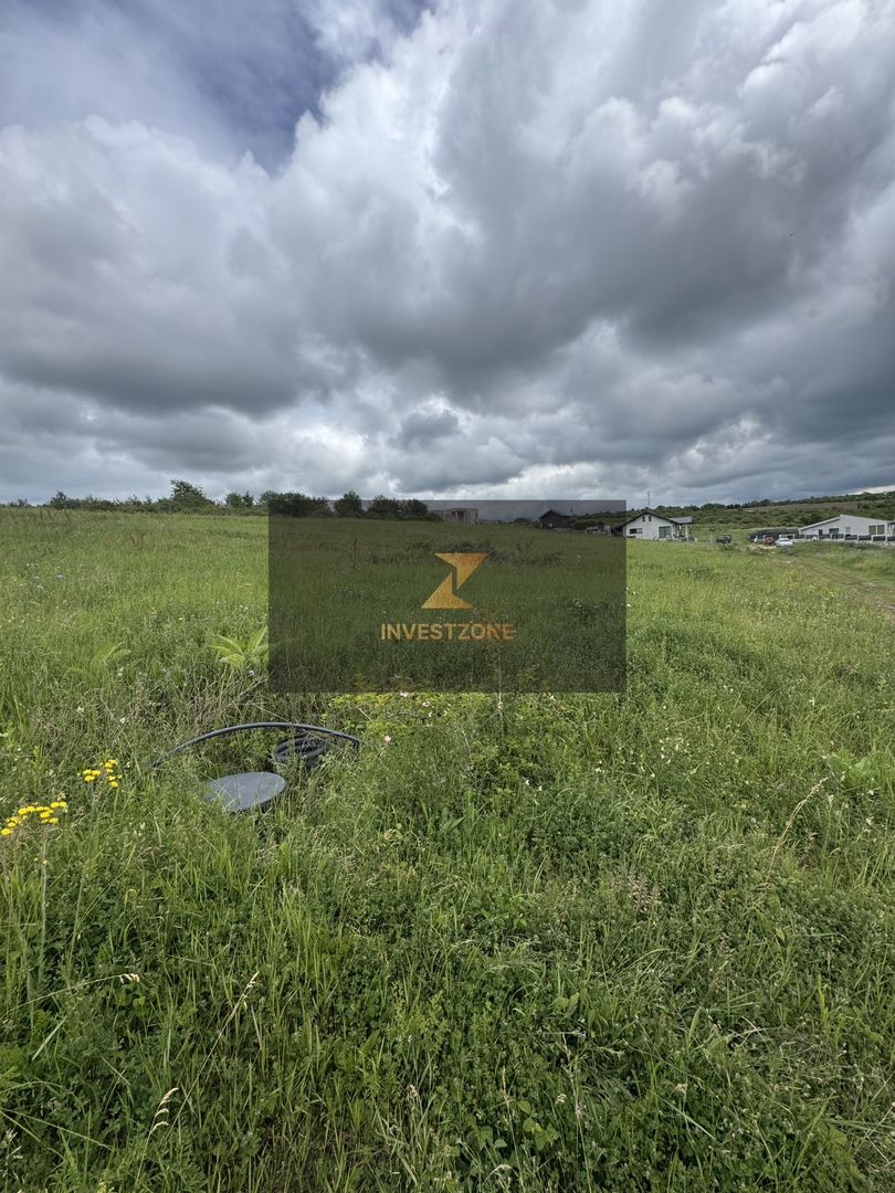 Teren intravilan Dealul Lavandei din Beldiceanu spre Săldăbagiu - Poză 4