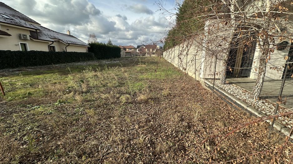 TEREN 981MP  DUMBRAVITA  - LANGA IKEA - Poză 3