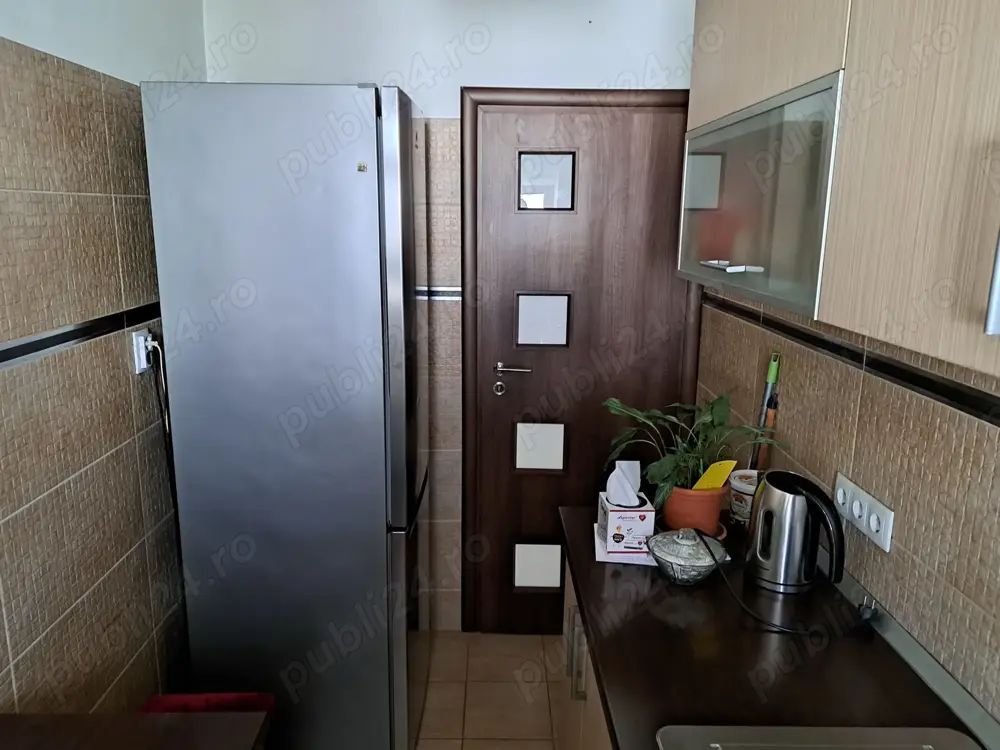 Apartament Fabrica de Gheata/Lacul Plumbuita - Poză 7