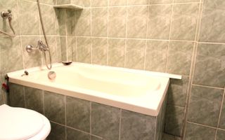 2 camere la curte intr-o zona linistita in Cetatii - Poză 10