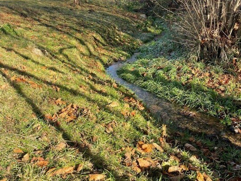 Teren 3349 mp de Vânzare | Bran – Panoramă Munții Bucegi - Poză 8