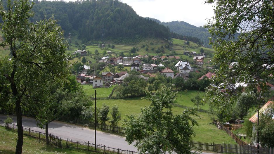 Teren intravilan 3214 mp în Rucăr cu deschidere 56 m în DN73 - Poză 3