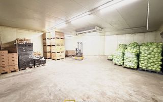Hala industrială de vanzare Arad 540 mp, depozitare la rece, acces TIR - Poză 2