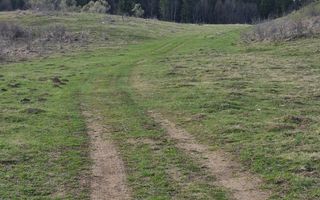 Teren intravilan la baza pădurii Valea Doftanei sat Traisteni (poduri) - Poză 11
