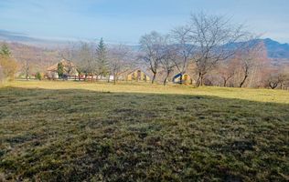 Teren 937 mp Bran/ Sohodol