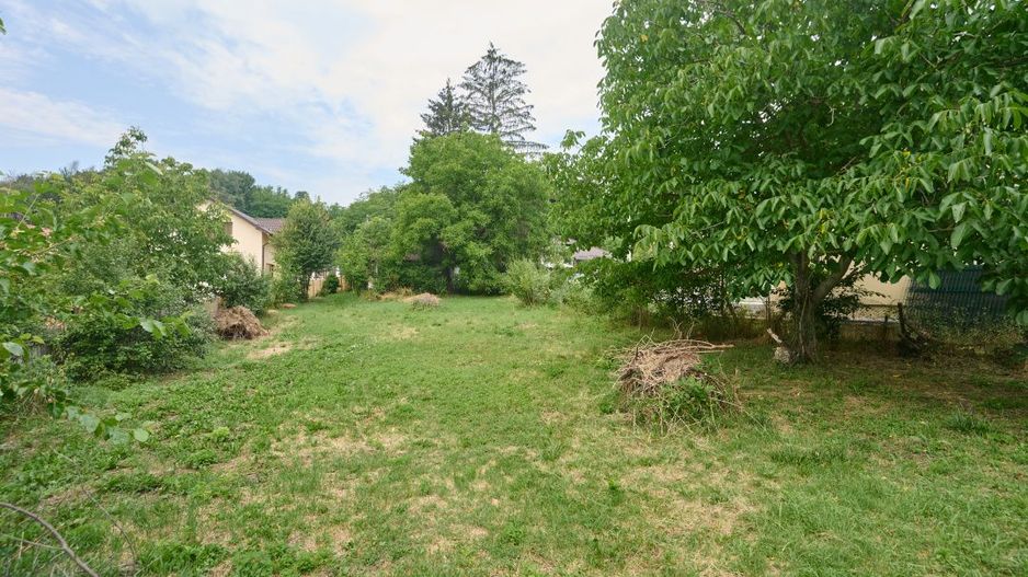 Teren 2240 mp intravilan + casa batraneasca Hintesti-Basangesti - Poză 8
