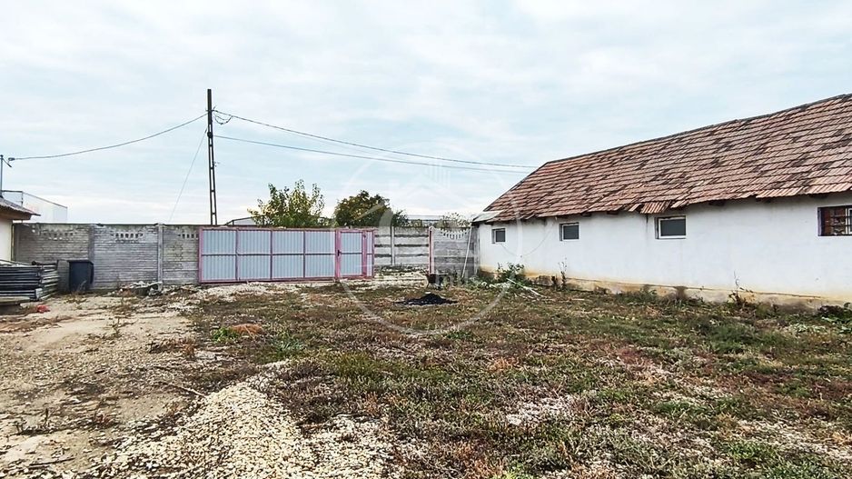 Hala de inchiriat in zona Tarian, Bihor - Poză 2